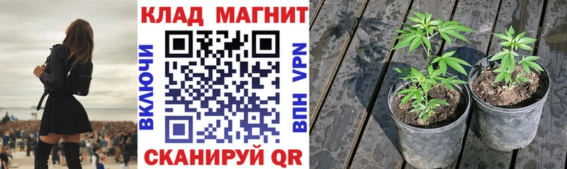 Купить наркотик аптеки Холмск Кокаин  Меф мяу мяу  APVP  Конопля 