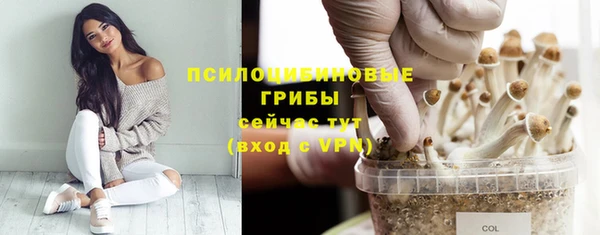 кристаллы Горняк